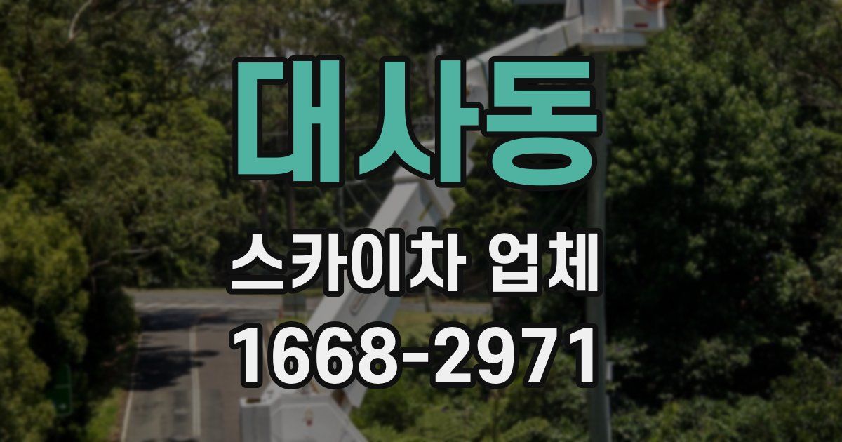 대사동 스카이차 업체