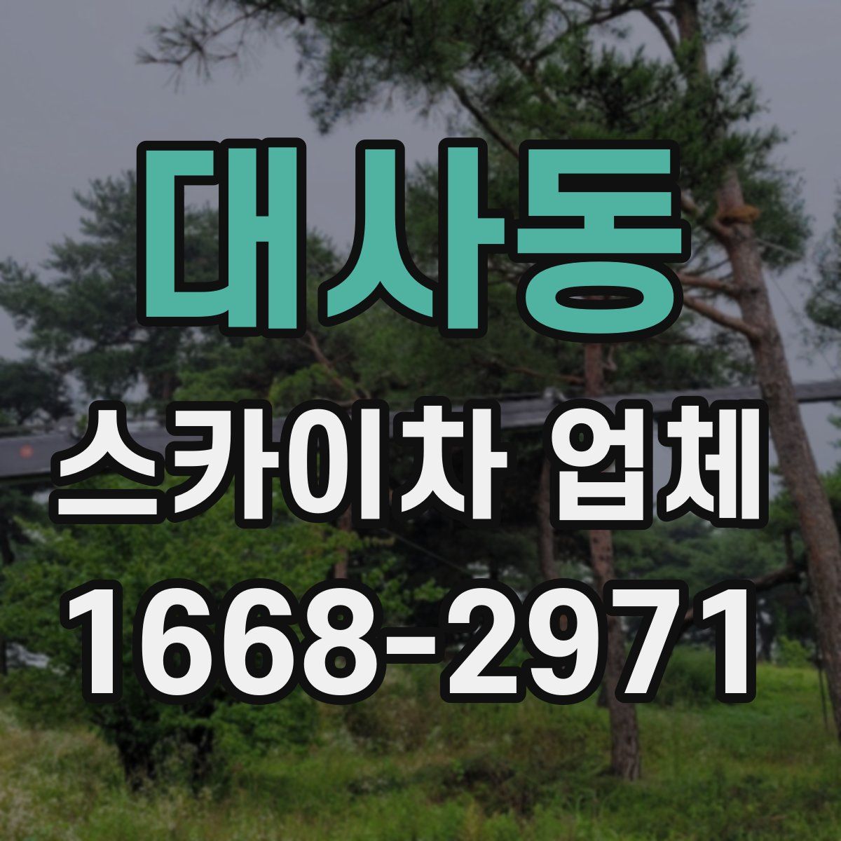 대사동 스카이차 업체