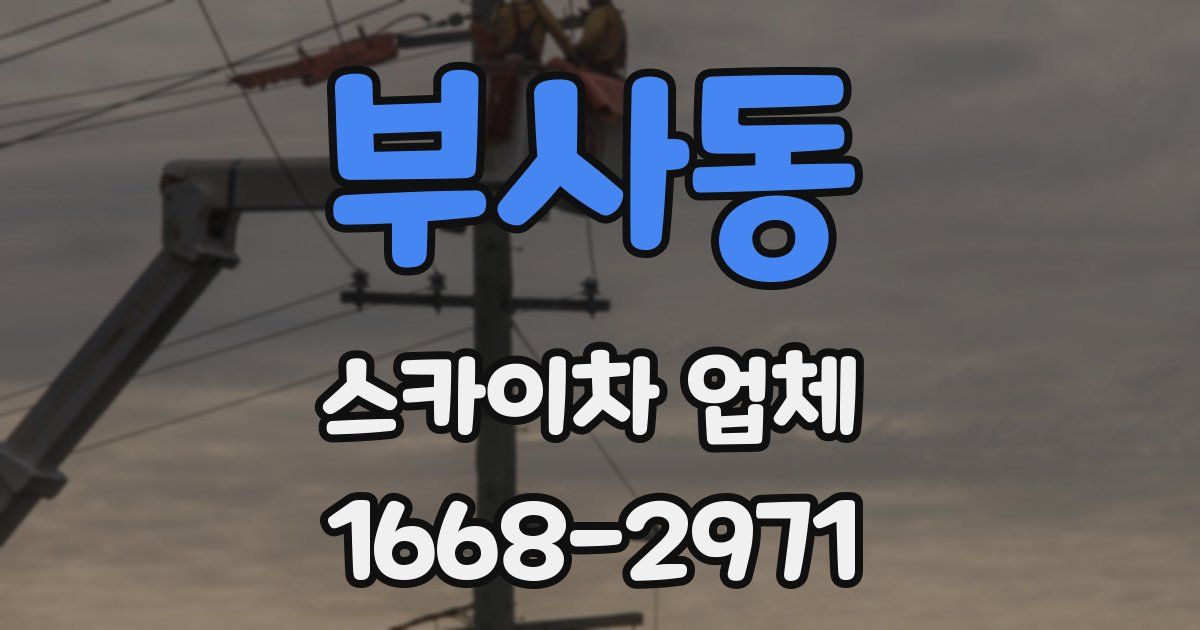 부사동 스카이차 업체