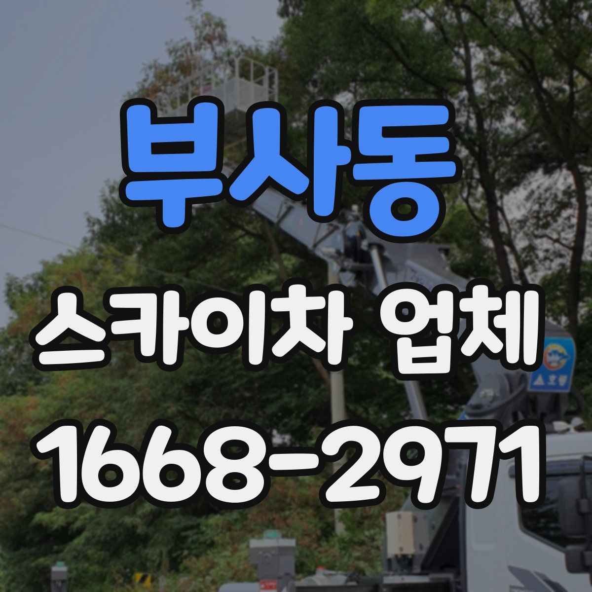 부사동 스카이차 업체