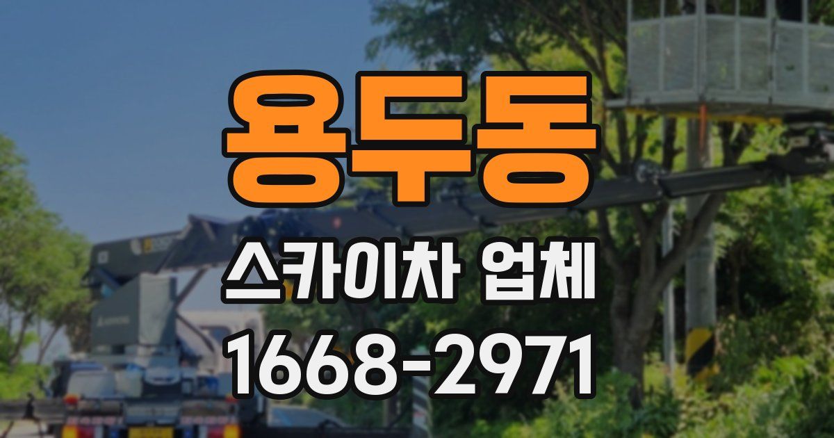 용두동 스카이차 업체