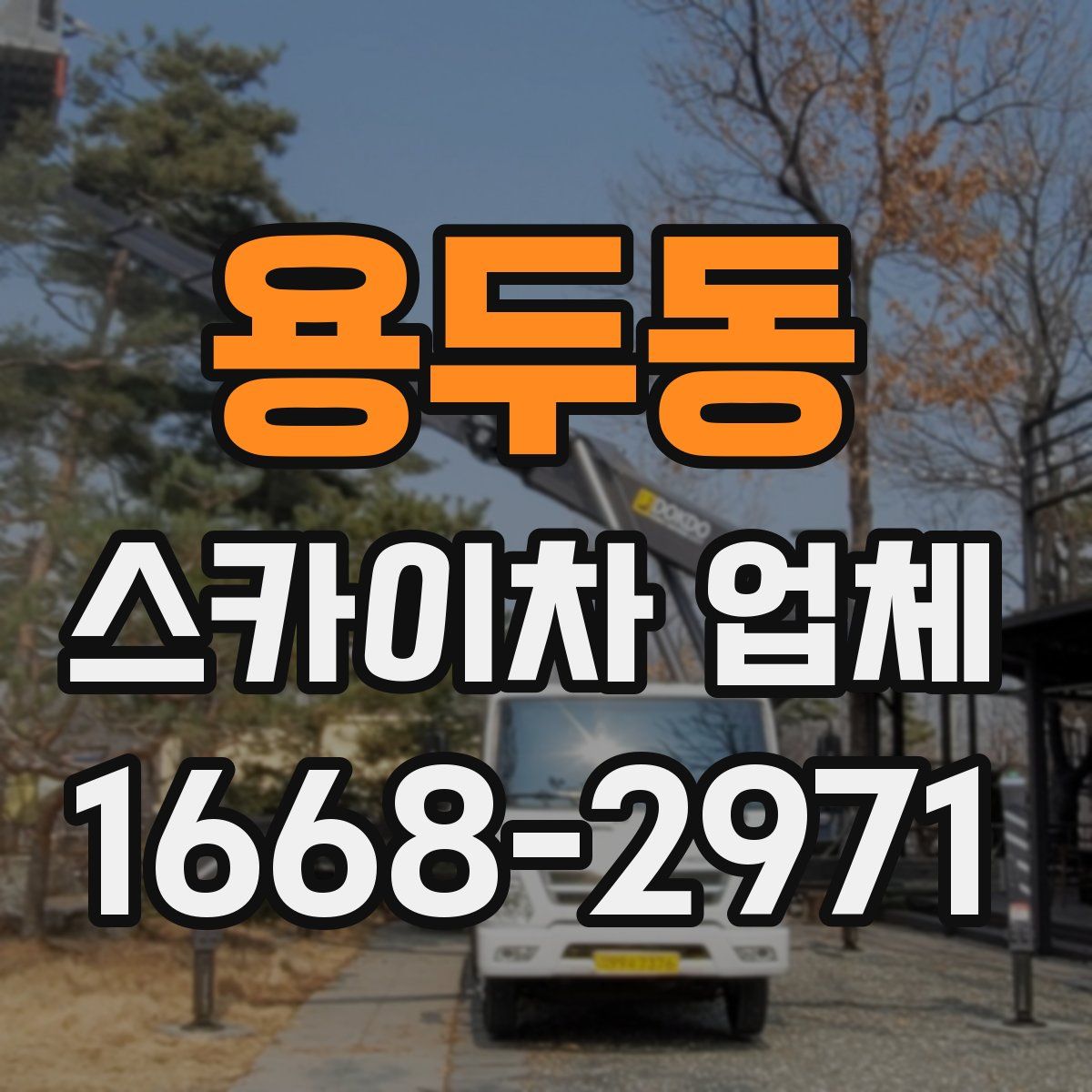 용두동 스카이차 업체