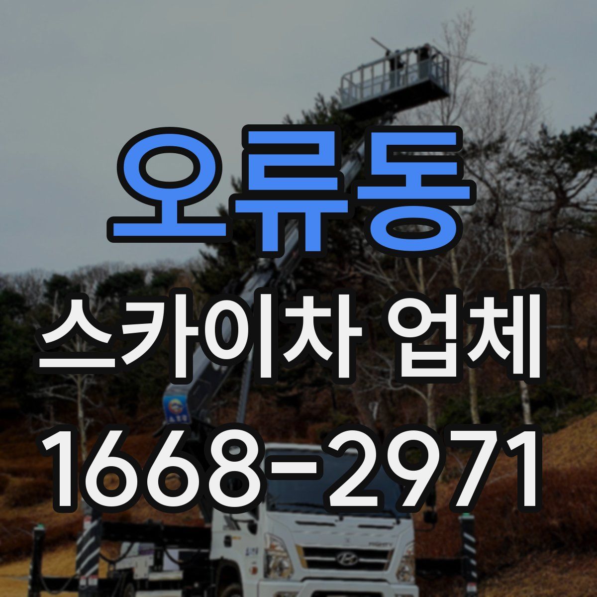 오류동 스카이차 업체