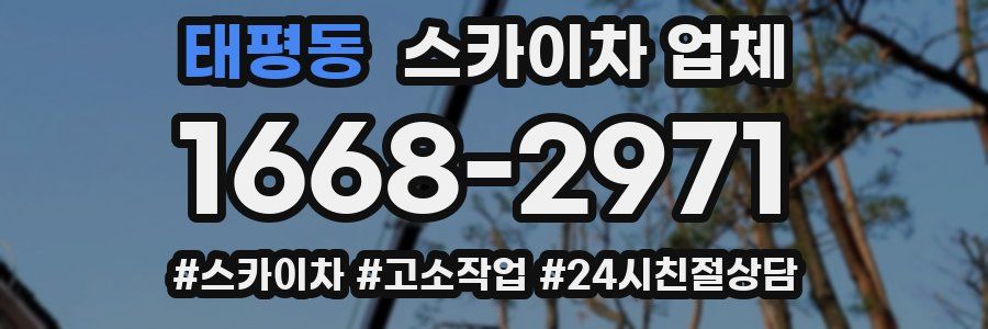태평동 스카이차 업체