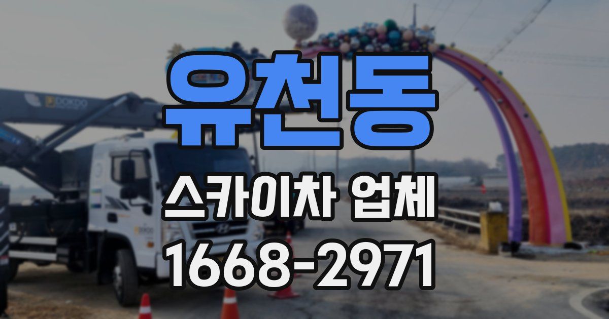 유천동 스카이차 업체