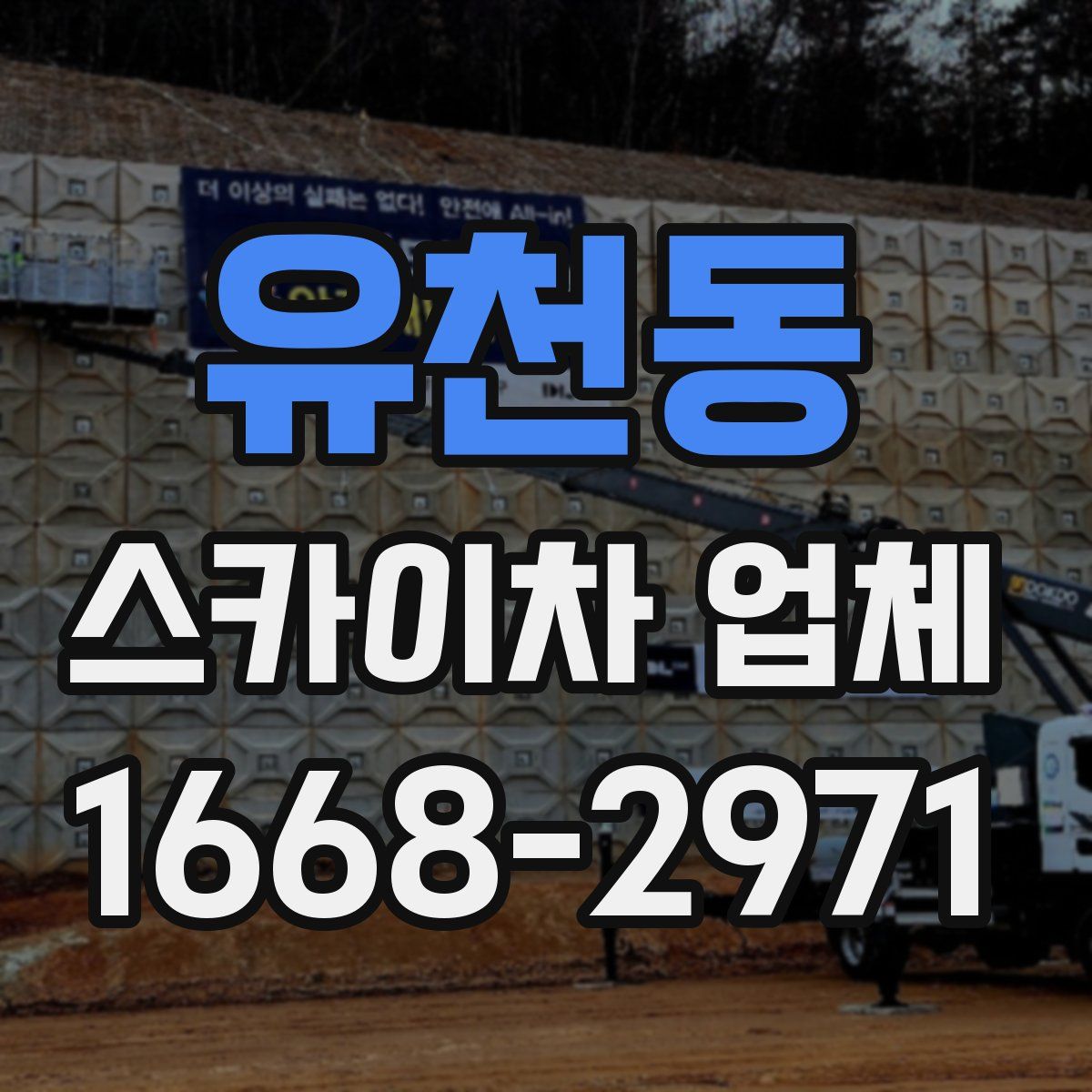 유천동 스카이차 업체