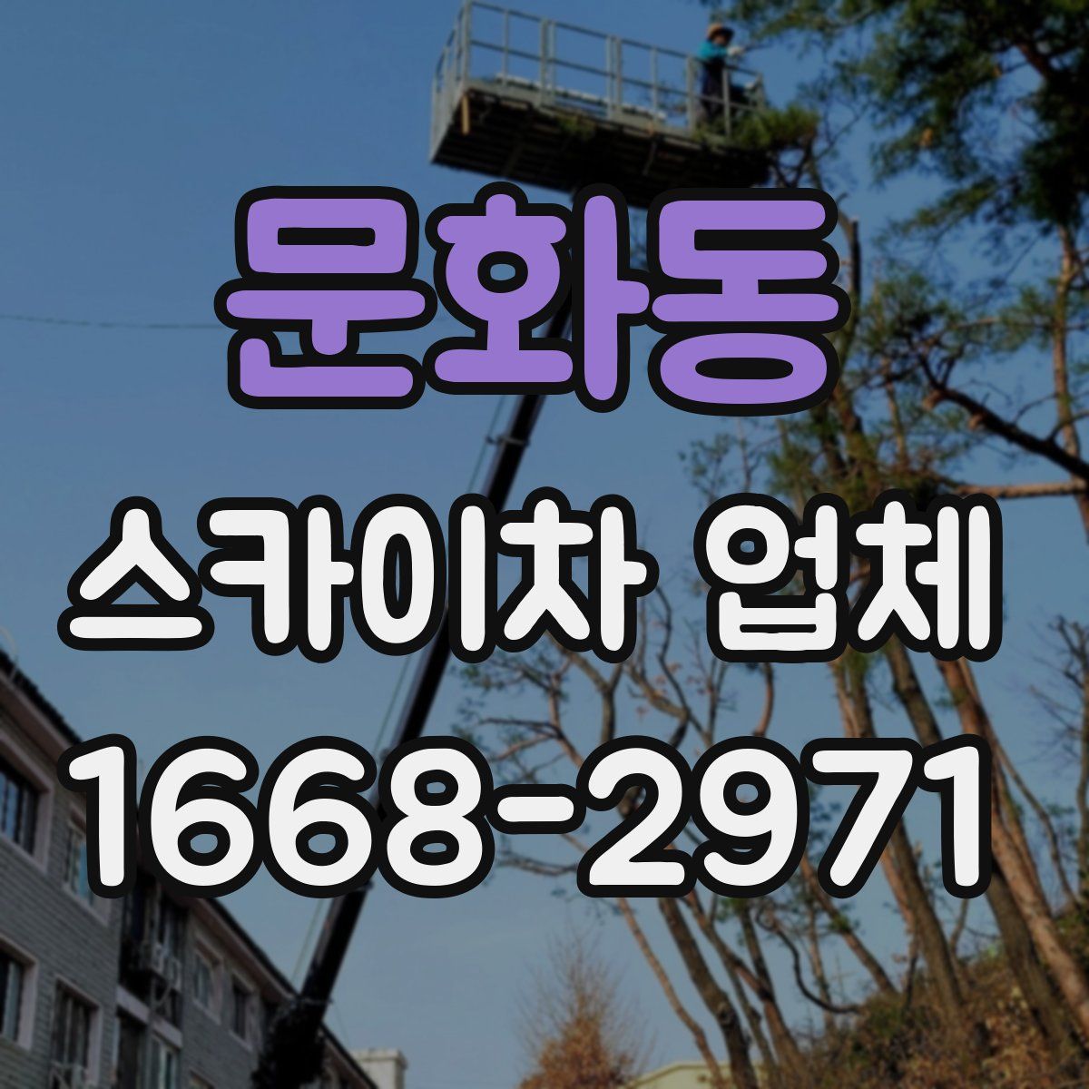 문화동 스카이차 업체
