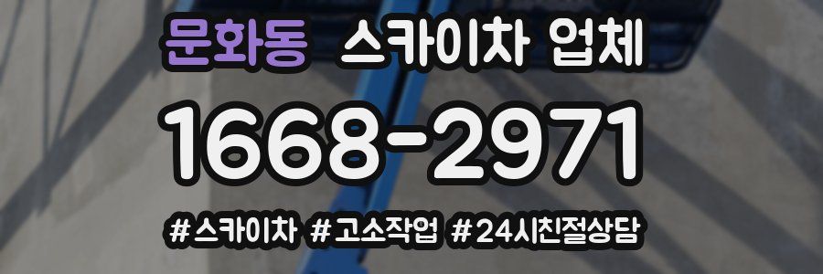 문화동 스카이차 업체