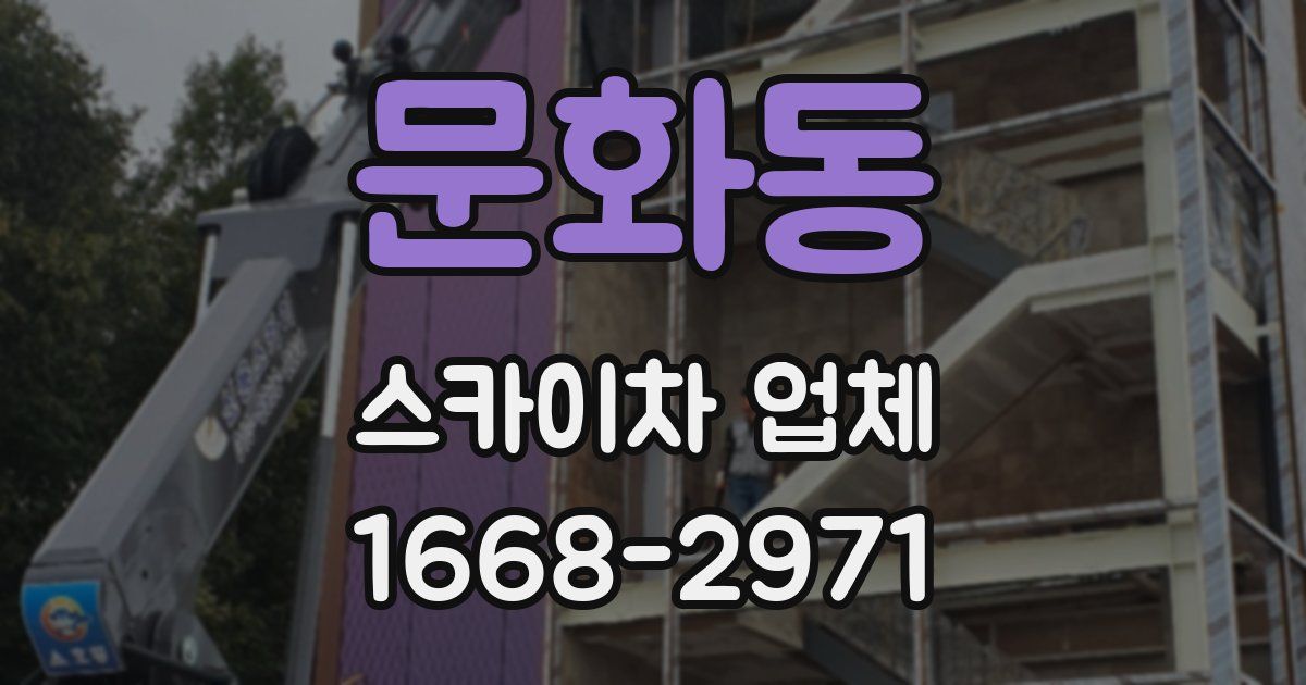 문화동 스카이차 업체
