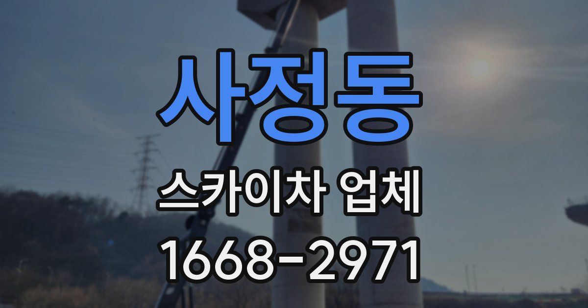 사정동 스카이차 업체