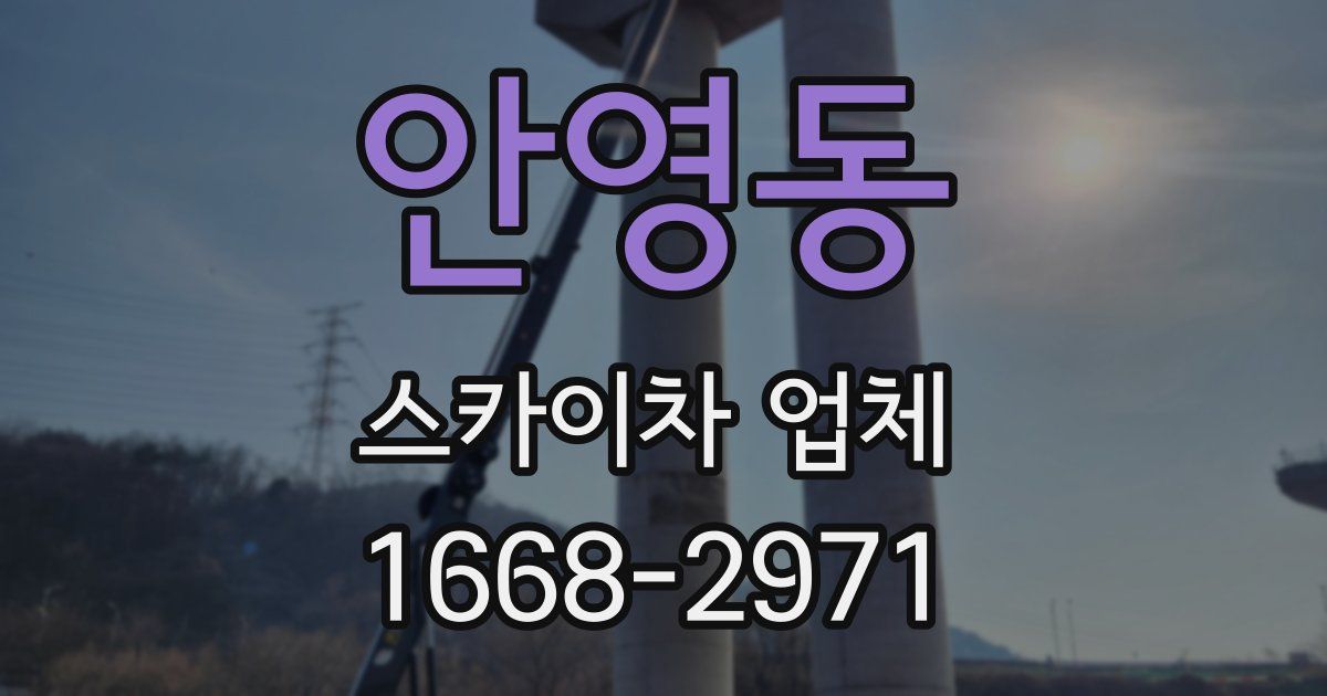 안영동 스카이차 업체