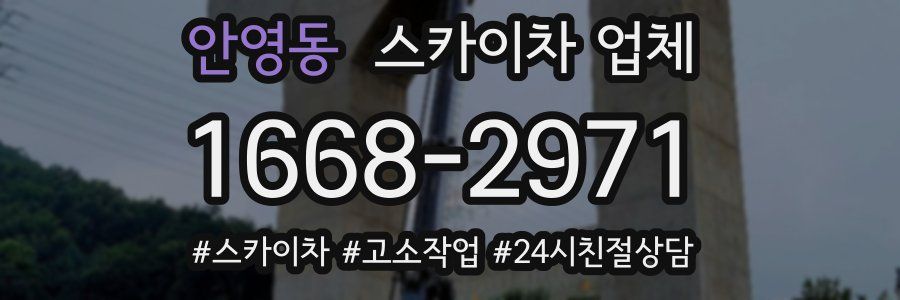 안영동 스카이차 업체