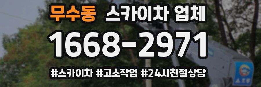 무수동 스카이차 업체