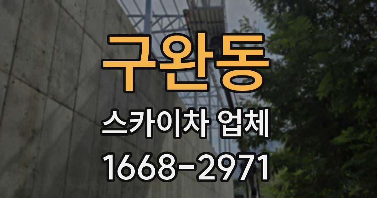 구완동 스카이차 업체