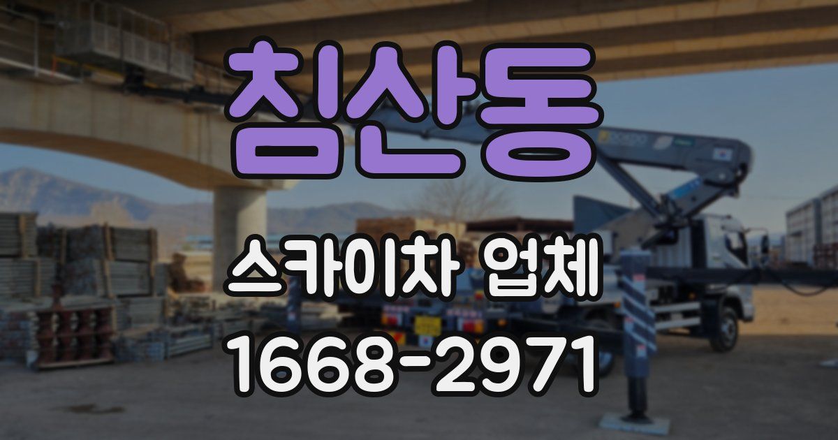 침산동 스카이차 업체