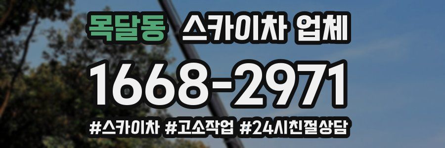목달동 스카이차 업체