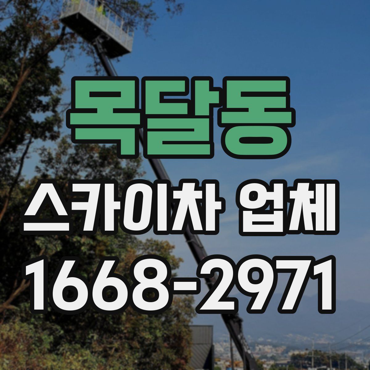 목달동 스카이차 업체