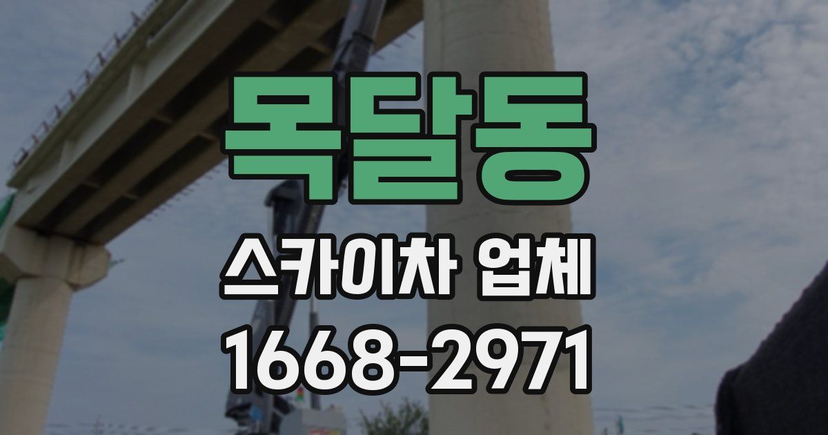 목달동 스카이차 업체