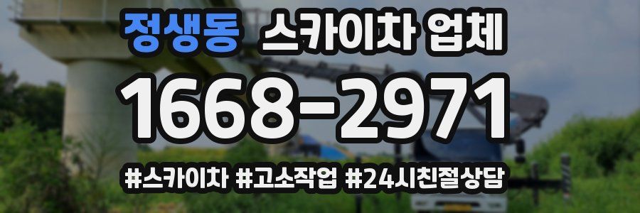 정생동 스카이차 업체
