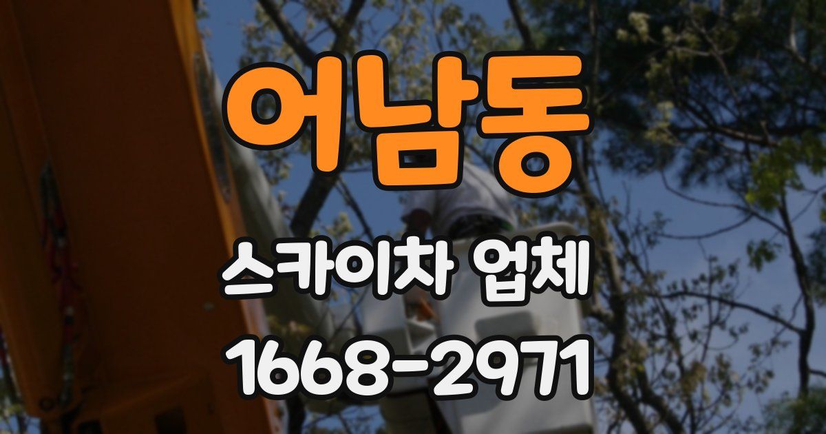어남동 스카이차 업체