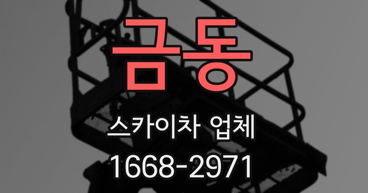 금동 스카이차 업체