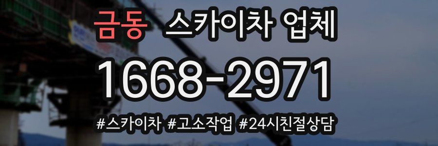 금동 스카이차 업체