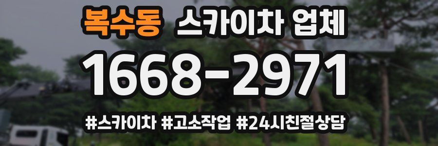 복수동 스카이차 업체