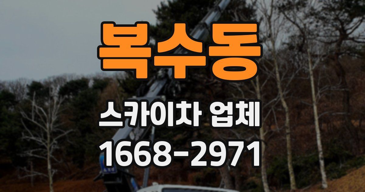 복수동 스카이차 업체