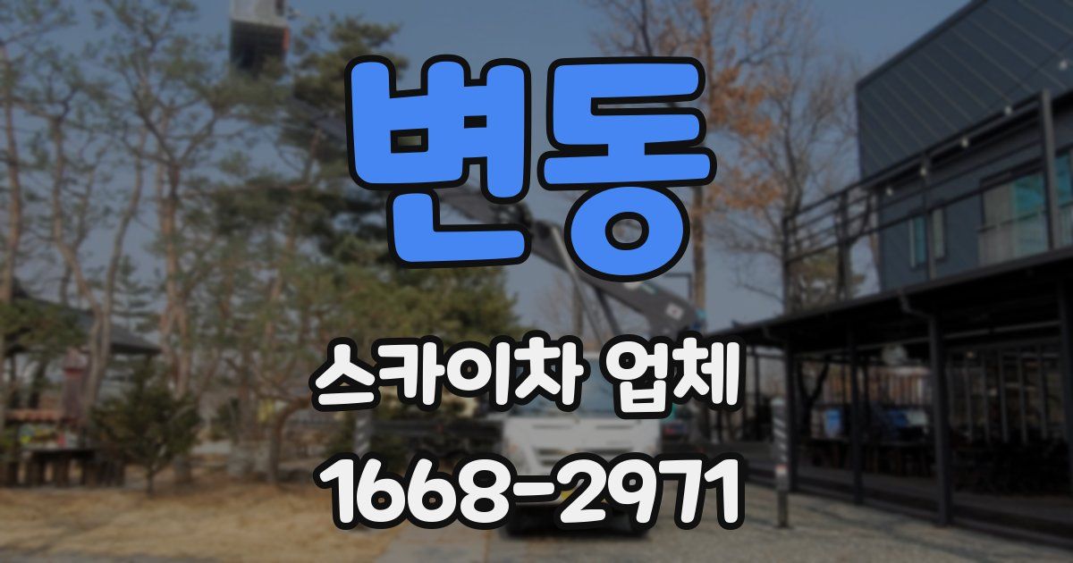 변동 스카이차 업체