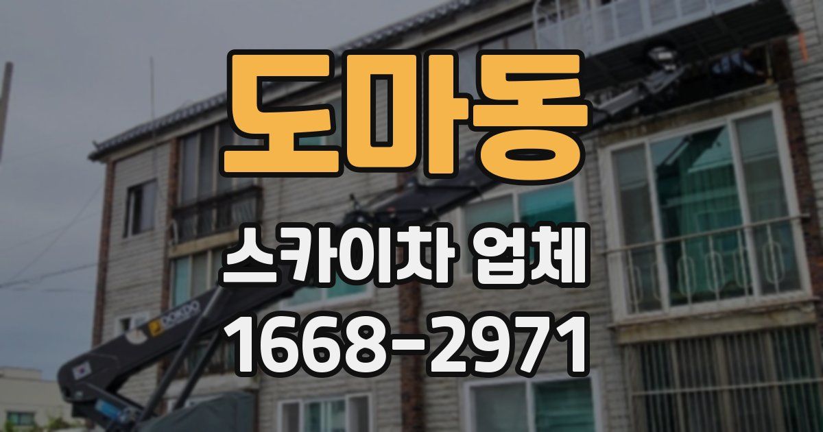 도마동 스카이차 업체