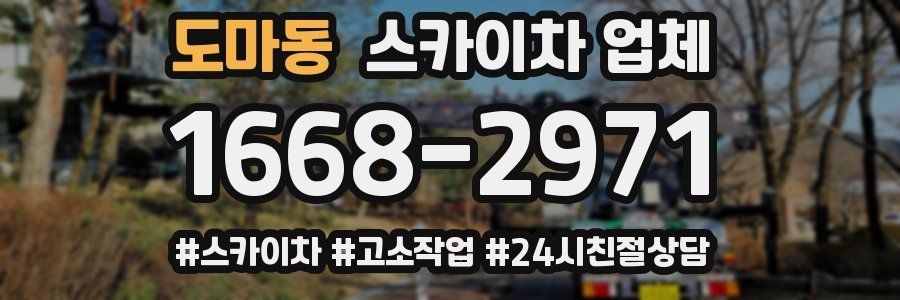 도마동 스카이차 업체