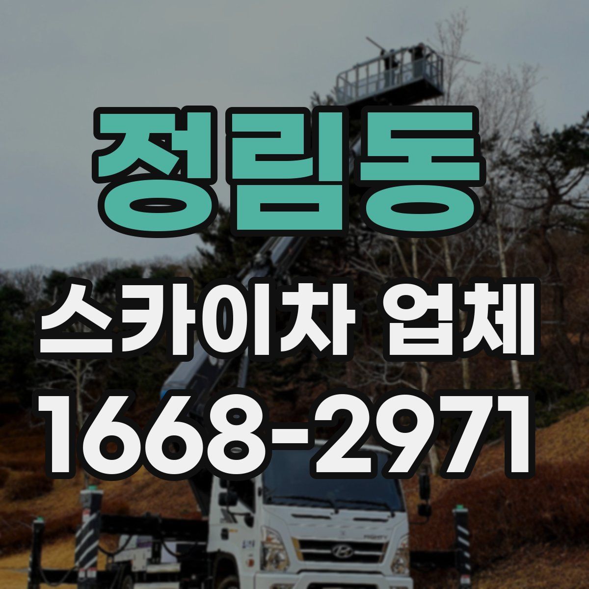 정림동 스카이차 업체
