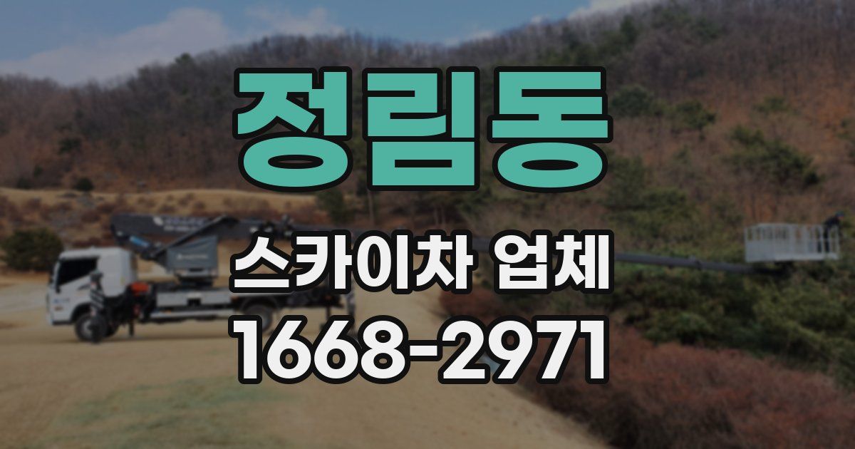 정림동 스카이차 업체