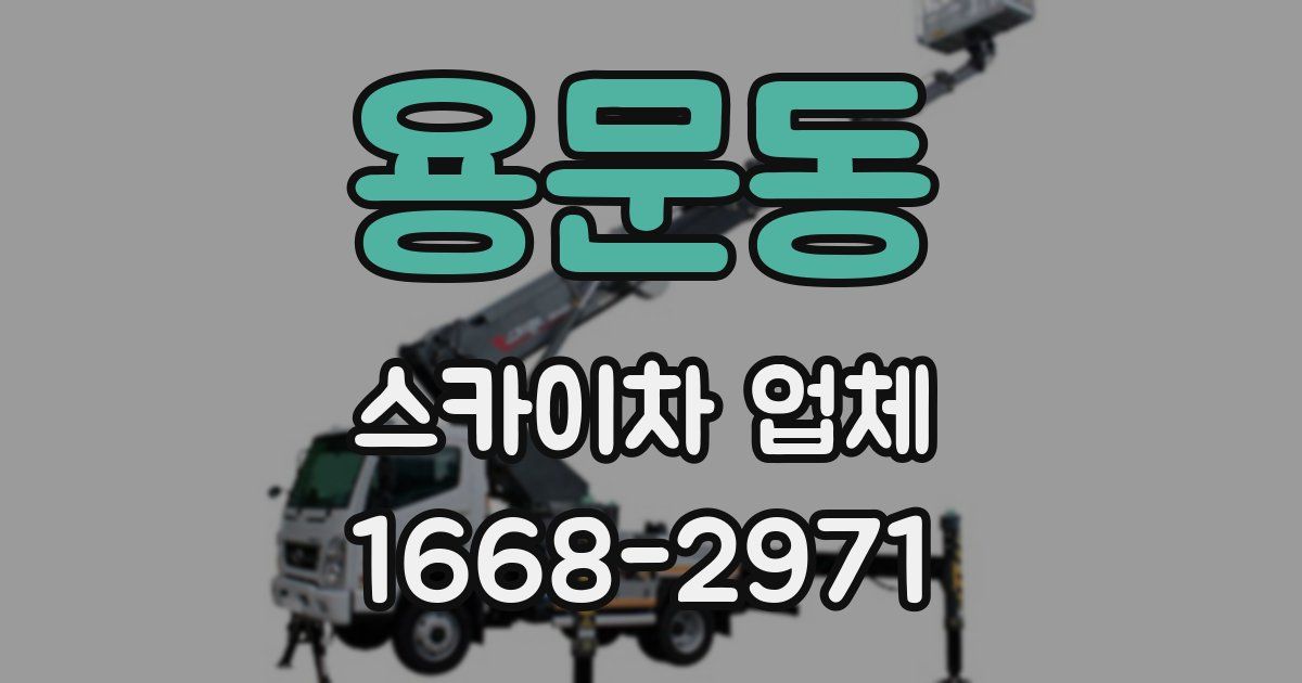 용문동 스카이차 업체