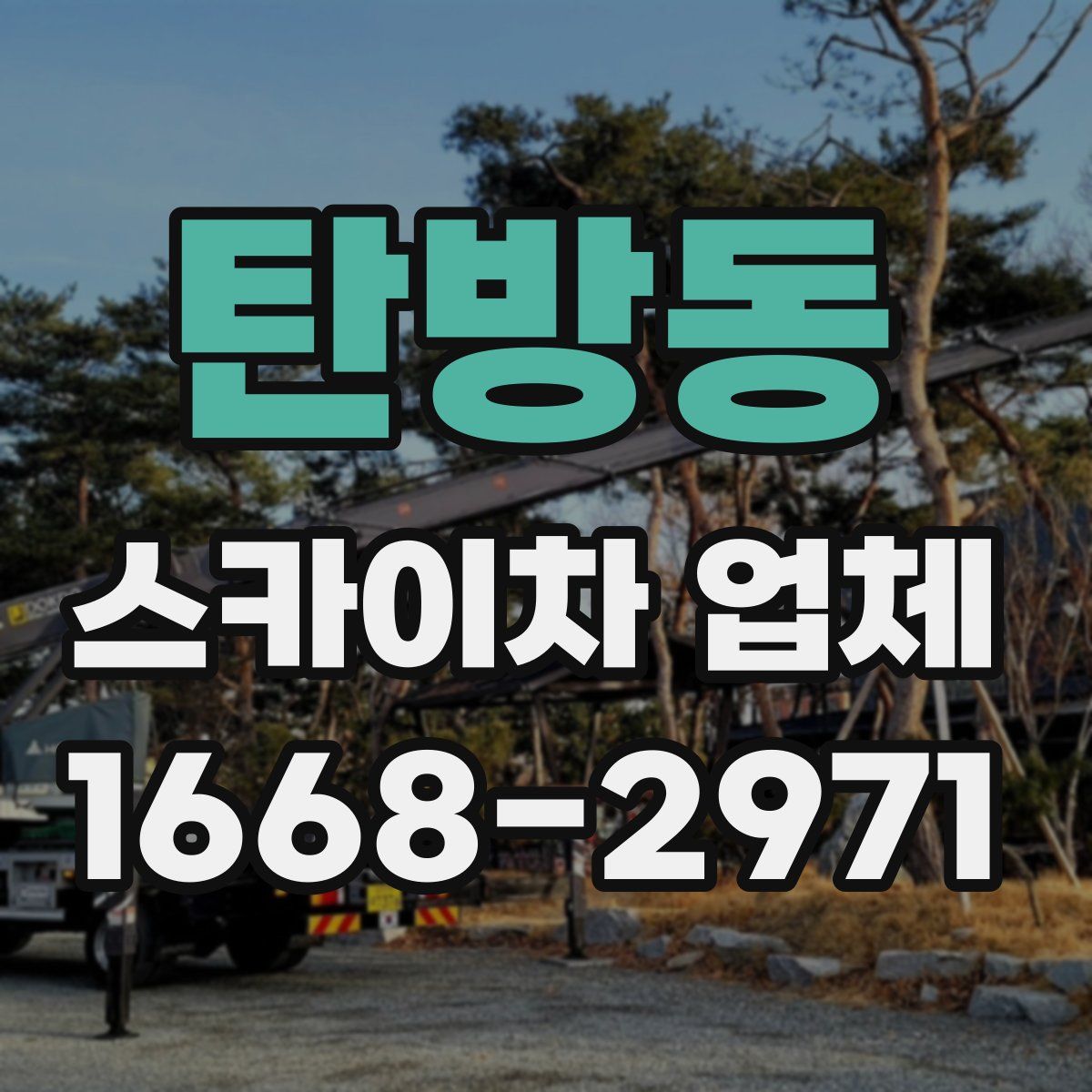 탄방동 스카이차 업체