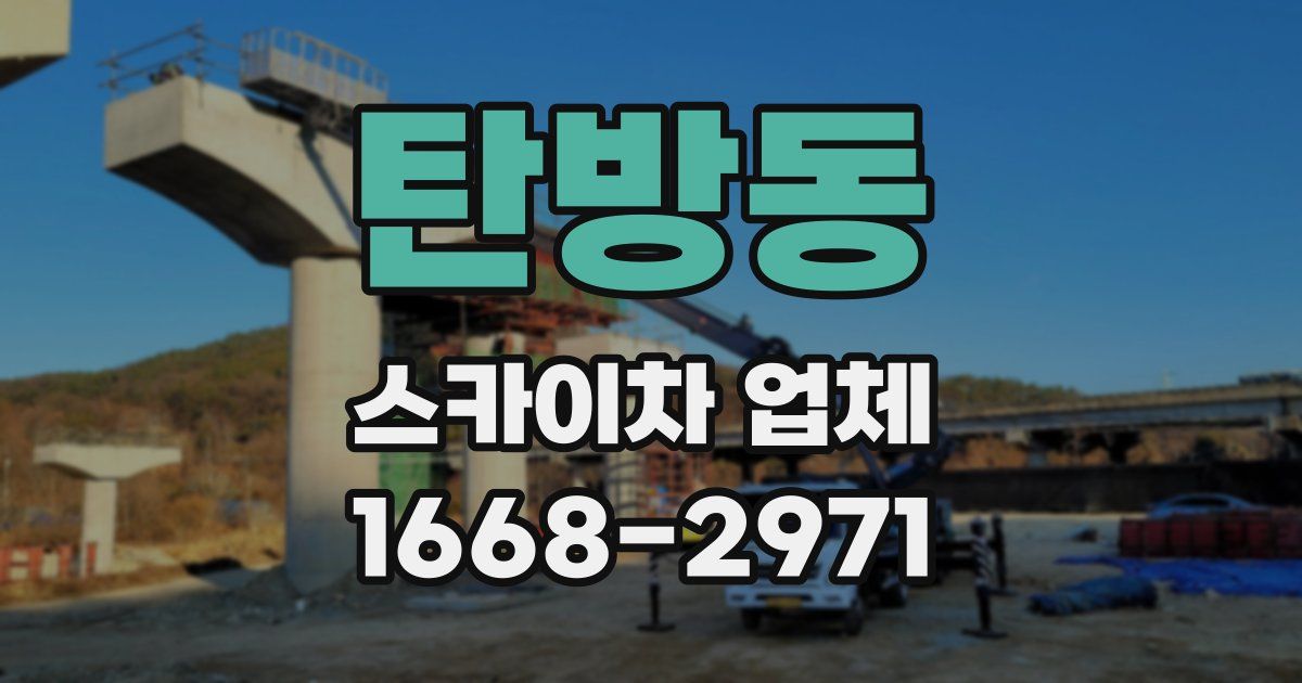 탄방동 스카이차 업체