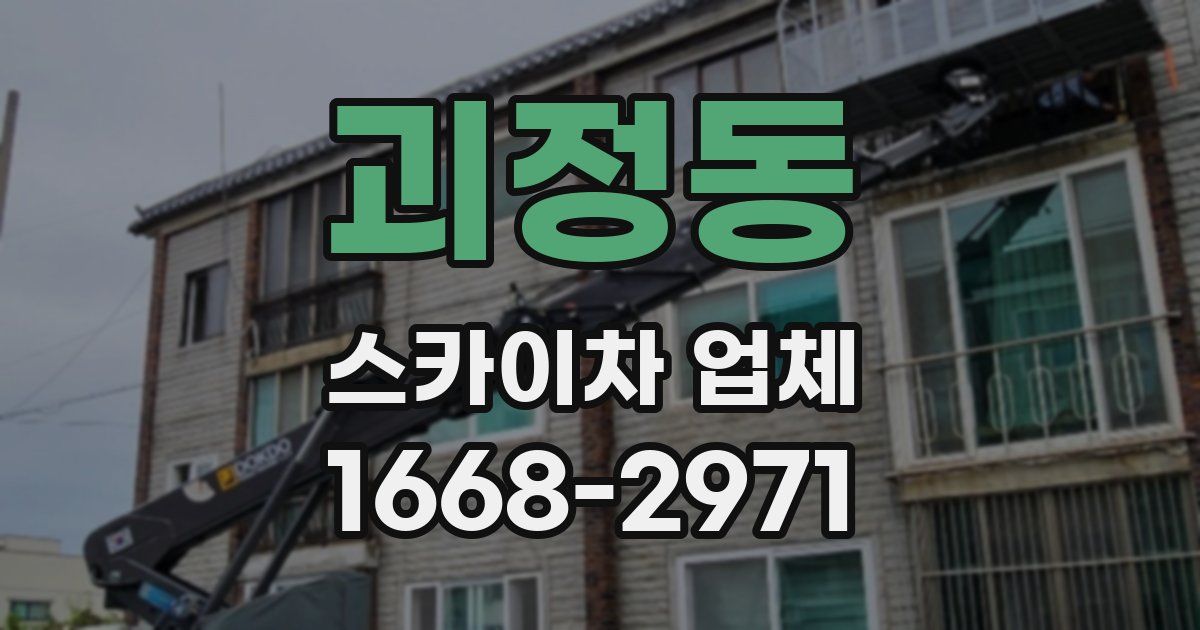 괴정동 스카이차 업체