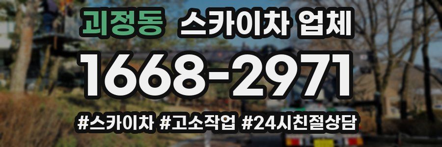 괴정동 스카이차 업체