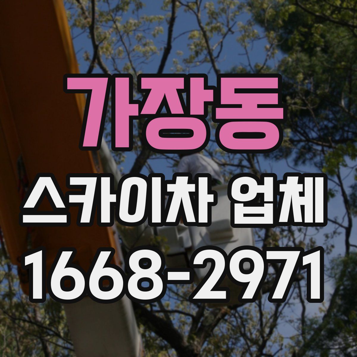 가장동 스카이차 업체