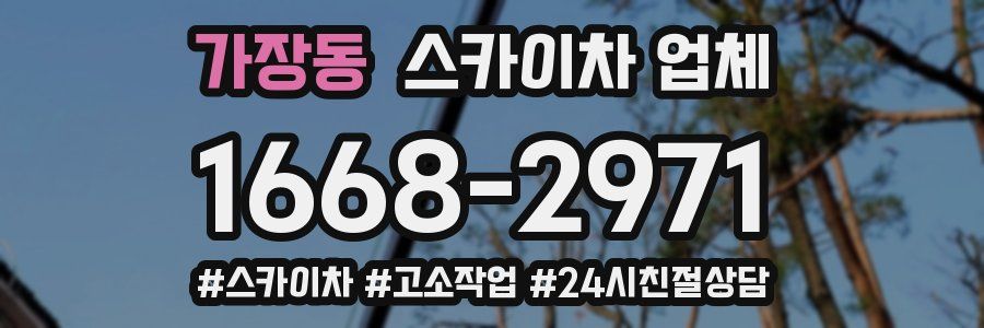 가장동 스카이차 업체