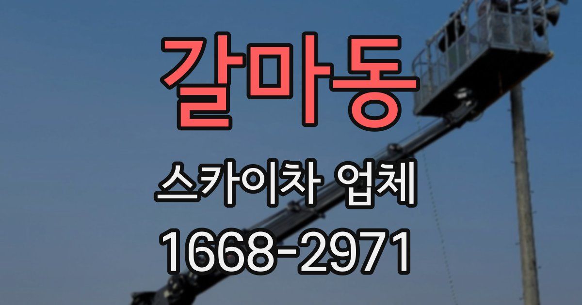 갈마동 스카이차 업체
