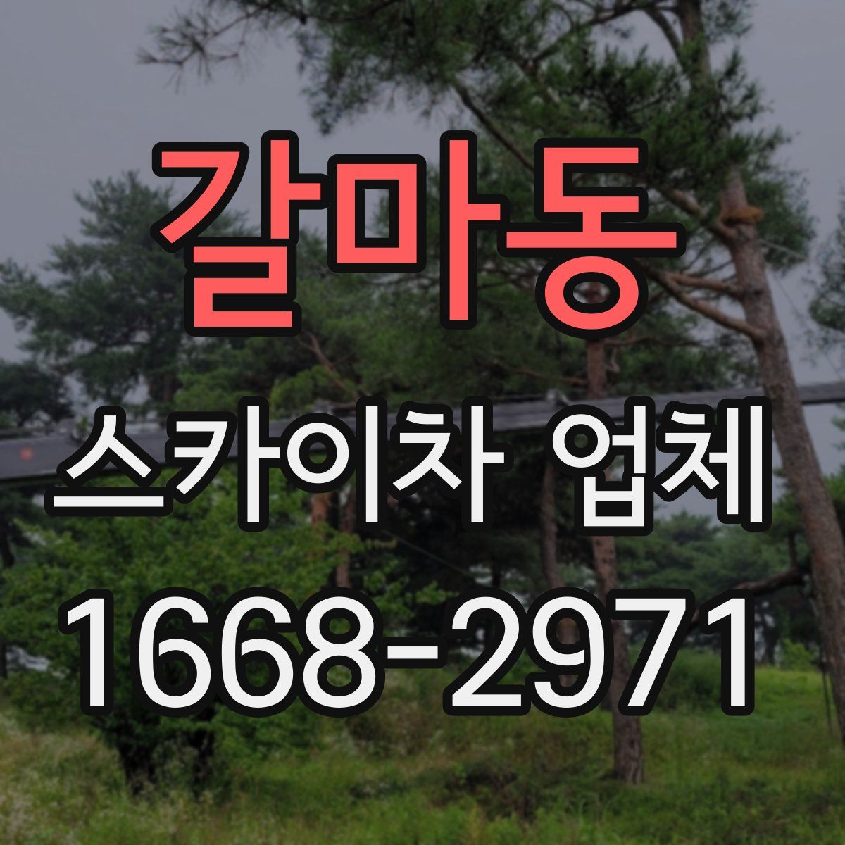 갈마동 스카이차 업체