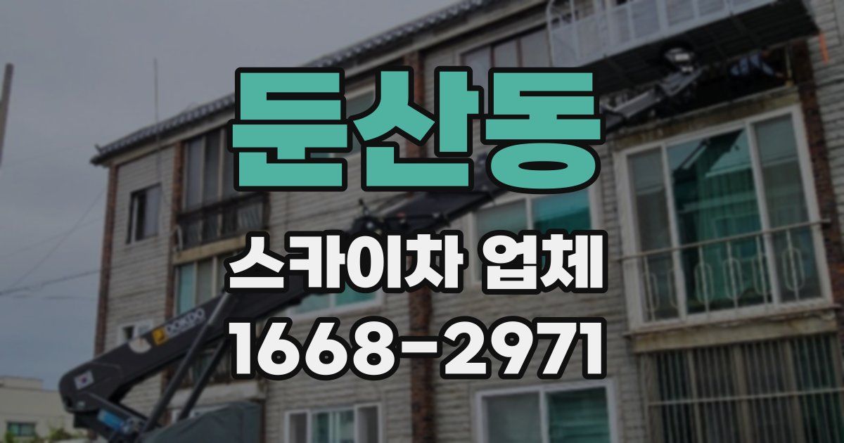 둔산동 스카이차 업체