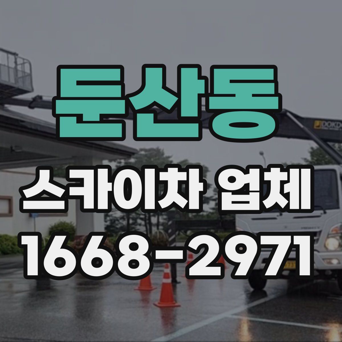둔산동 스카이차 업체