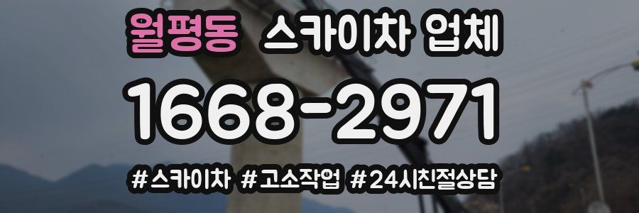 월평동 스카이차 업체