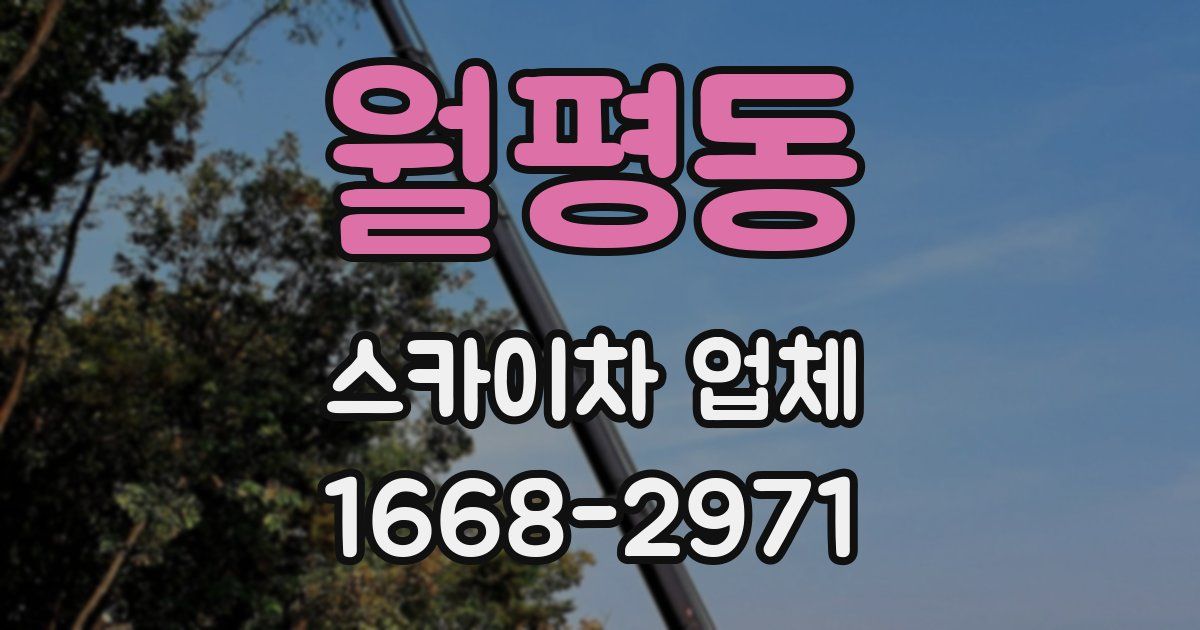 월평동 스카이차 업체