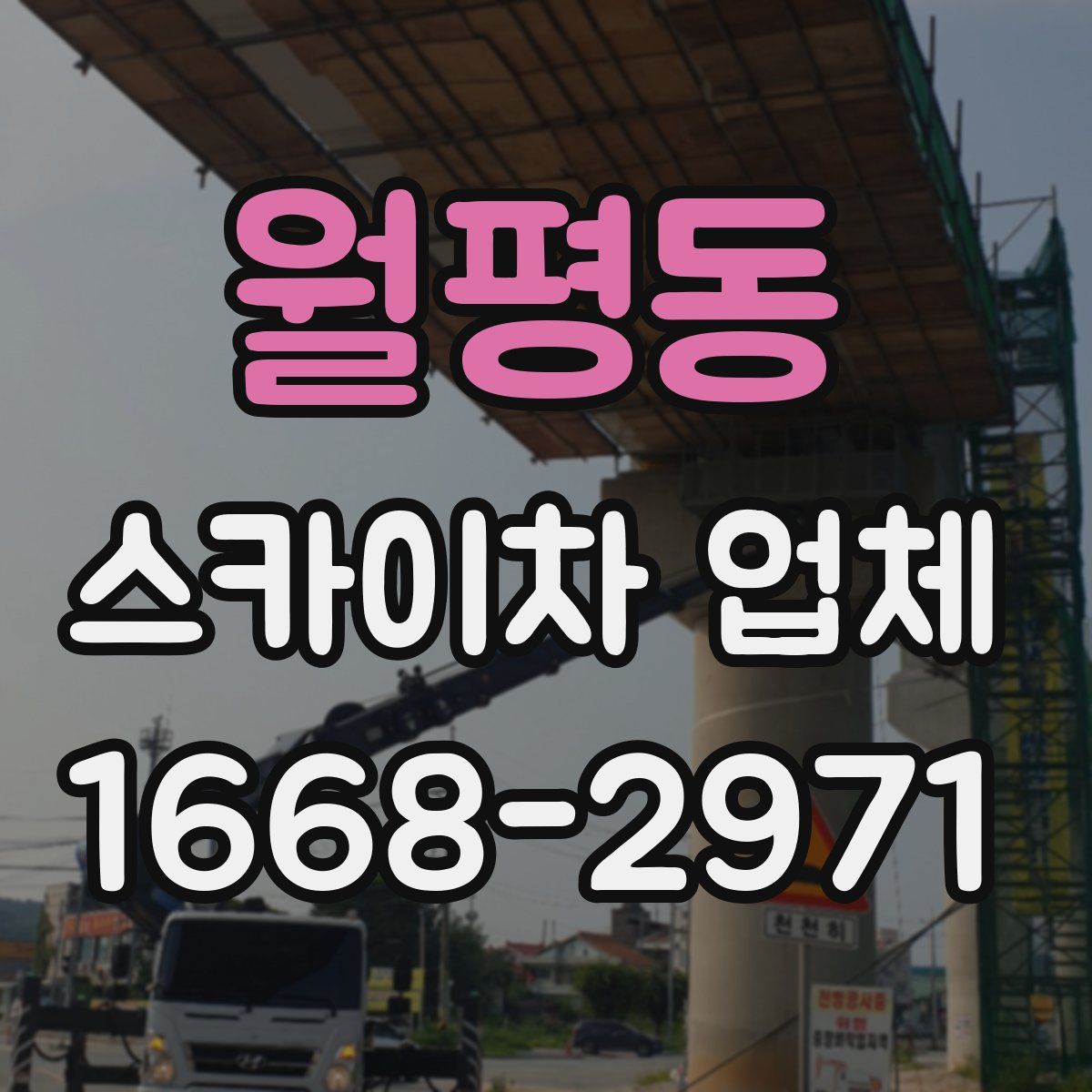 월평동 스카이차 업체