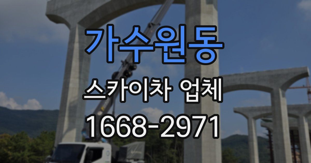 가수원동 스카이차 업체