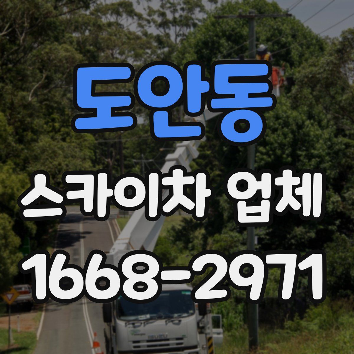 도안동 스카이차 업체