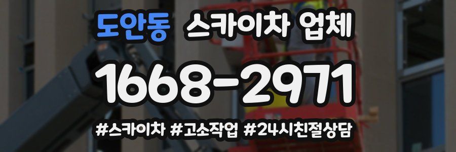 도안동 스카이차 업체